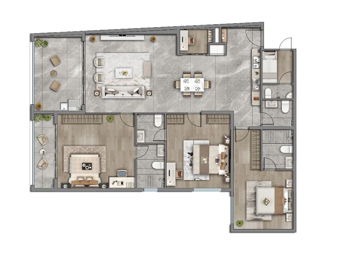 3 Bed + Study + DSQ-B floor plan